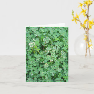 Tarjeta de nota en blanco para la naturaleza irlan