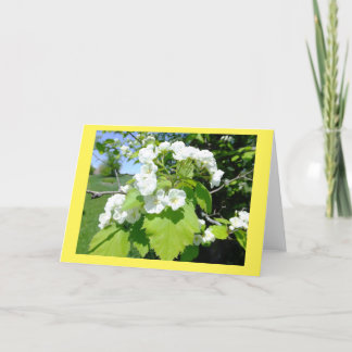 Tarjeta de nota en blanco para las flores de Hawth