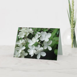 Tarjeta de nota en blanco para las flores de hidra