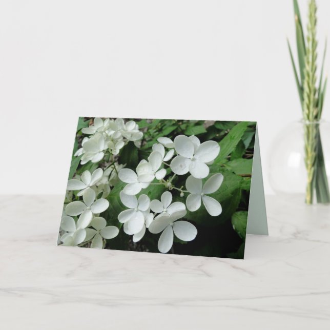 Tarjeta de nota en blanco para las flores de hidra (Anverso)