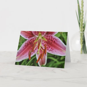 Tarjeta de nota en blanco para Lily Tiger Rosa 1