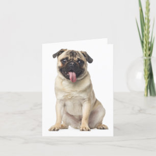 Tarjeta de nota en blanco para perro con pipa Pug
