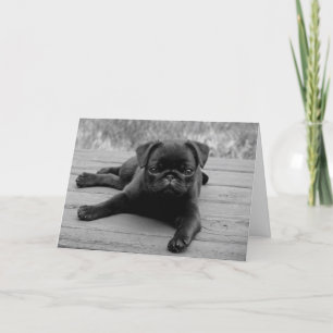 Tarjeta de nota en blanco para perro con pipa Pug