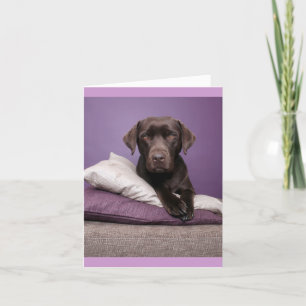 Tarjeta de nota en blanco para perro de cachorro d
