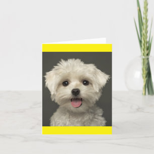 Tarjeta de nota en blanco para perros con pipa mal