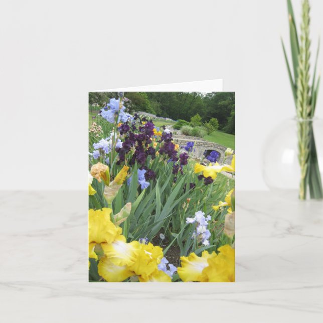 Tarjeta de nota en blanco pequeña para Iris Garden (Anverso)