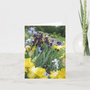 Tarjeta de nota en blanco pequeña para Iris Garden