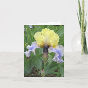 Tarjeta de nota en blanco pequeño amarillo azul be