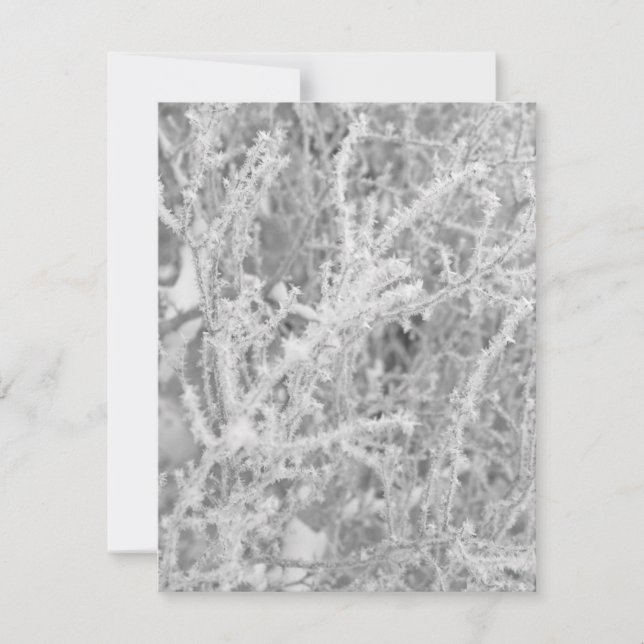 Tarjeta de nota en blanco personalizada de árbol d (Anverso)