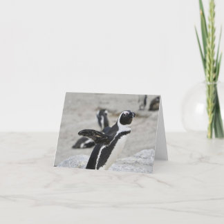 Tarjeta de nota en blanco - Pingüino de ennegrecim