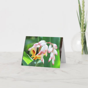 Tarjeta de nota en blanco plegada de la foto del j