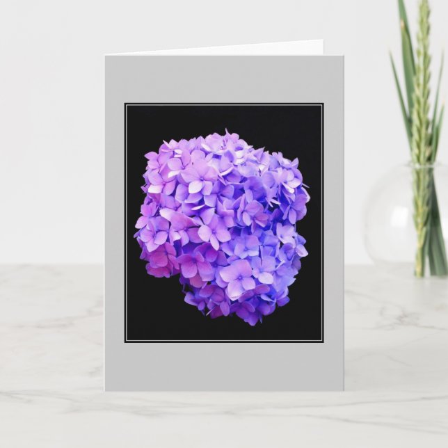 Tarjeta de nota en blanco "Purple Hydrangea Bloom" (Anverso)