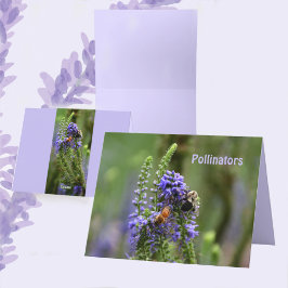 Tarjeta de nota en blanco púrpura para abejas y ab