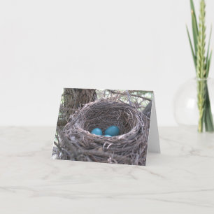 Tarjeta de nota en blanco Robin's Nest with Blue E