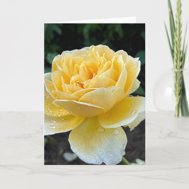 Tarjeta de nota en blanco Rosa de té amarillo (Anverso)