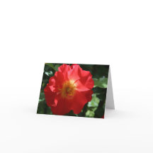 Tarjeta de nota en blanco: Rosa majestuoso