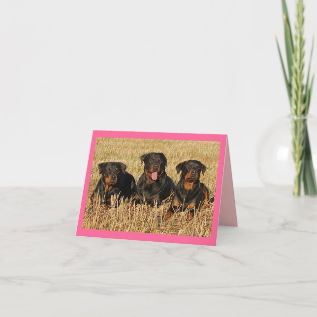 Tarjeta de nota en blanco rosado de rotuiler perro (Anverso)