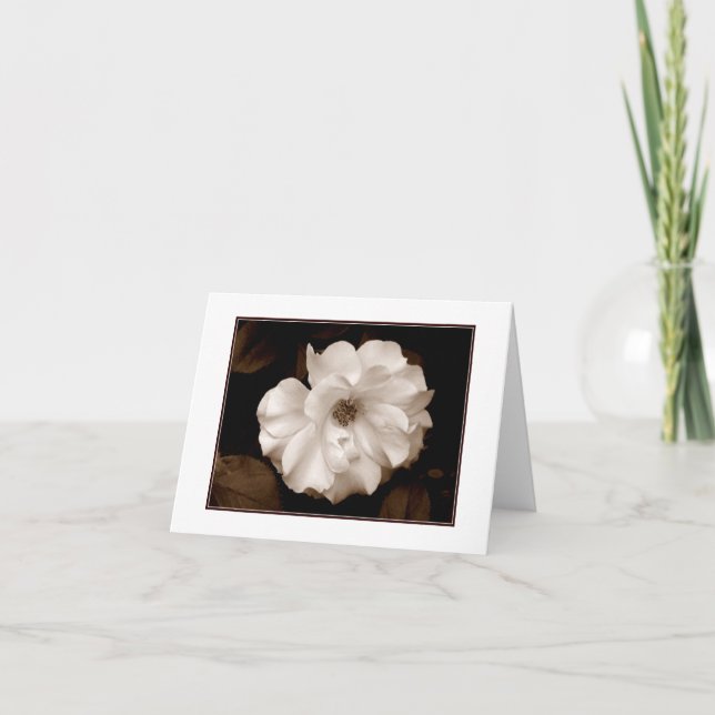Tarjeta de nota en blanco 'Spring Sepia Rose' (Anverso)