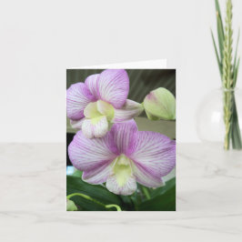 Tarjeta de nota en blanco y morado delgada