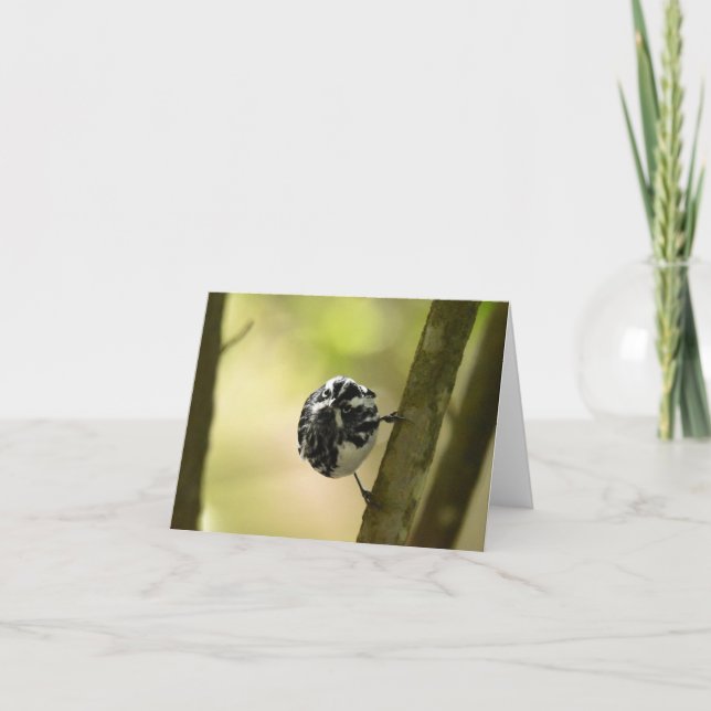 Tarjeta de nota en blanco y negro #2 (Anverso)