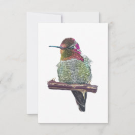 Tarjeta de nota estilo postal de Anna's Hummingbir