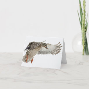 Tarjeta de nota femenina del espacio en blanco del