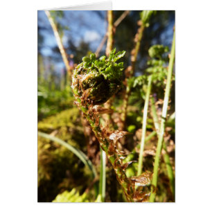 Tarjeta de nota Fern Frond Blank