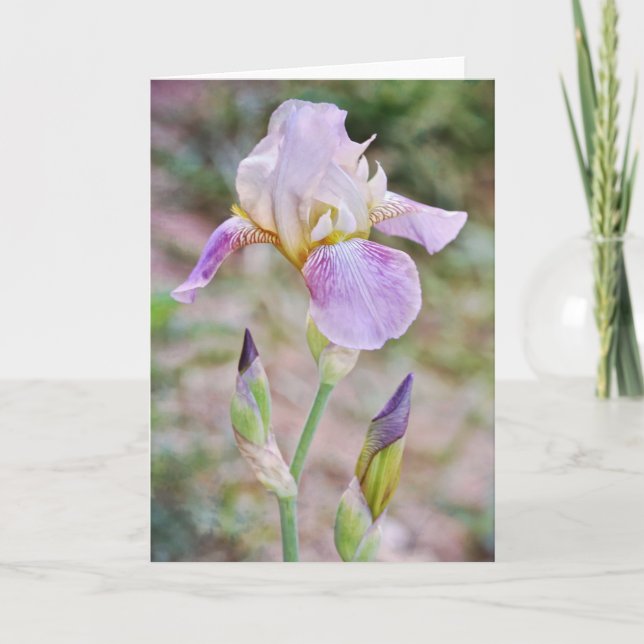 Tarjeta De Nota Floral De Flores De Iris Con Púrpu (Anverso)