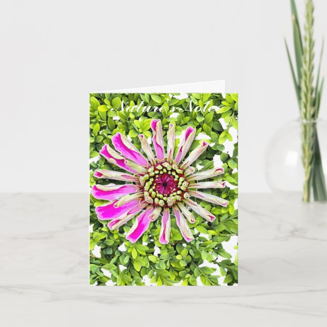 TARJETA DE NOTA FLORAL DE FOTO DE ZINNIA BOXWOOD (Anverso)