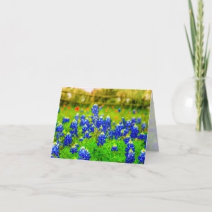 Tarjeta de Nota Floral de Texas Bluebonnets