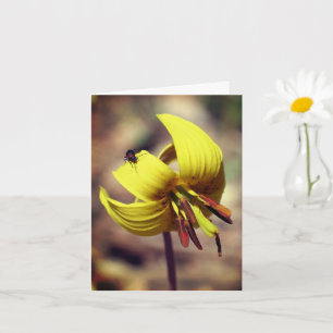 Tarjeta De Nota Floral De Trout Lily Y Amigo