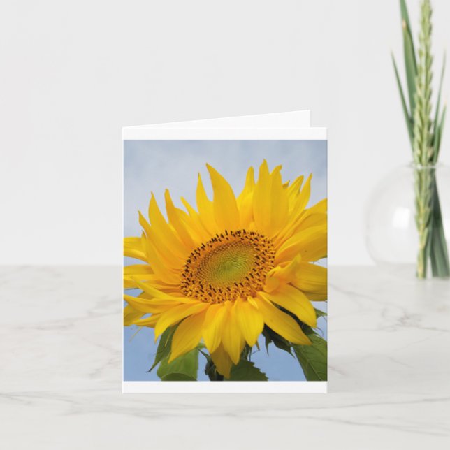 Tarjeta de nota floral en blanco de girasol (Anverso)