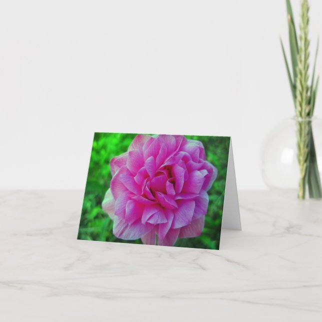 Tarjeta de nota floral rizada de la flor rosada de (Anverso)