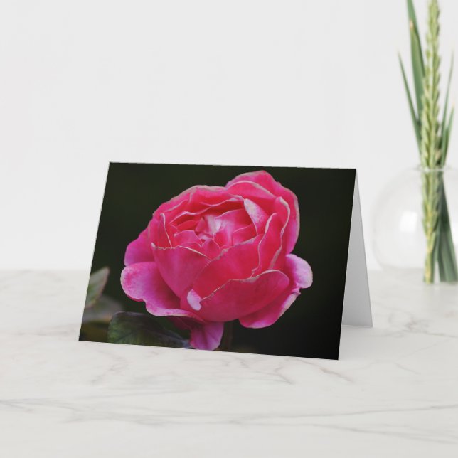 Tarjeta de nota floral Rosa de borde blanco rosa (Anverso)