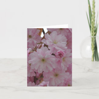 Tarjeta de nota: Flores de cerezo