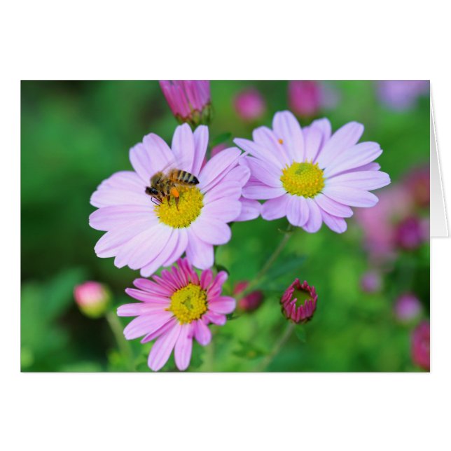 Tarjeta De Nota Fotográfica Bee On Purple Flower B (Anverso (Horizontal))