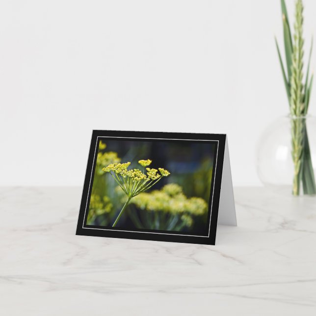 Tarjeta de nota fotográfica de Flor silvestre (Anverso)