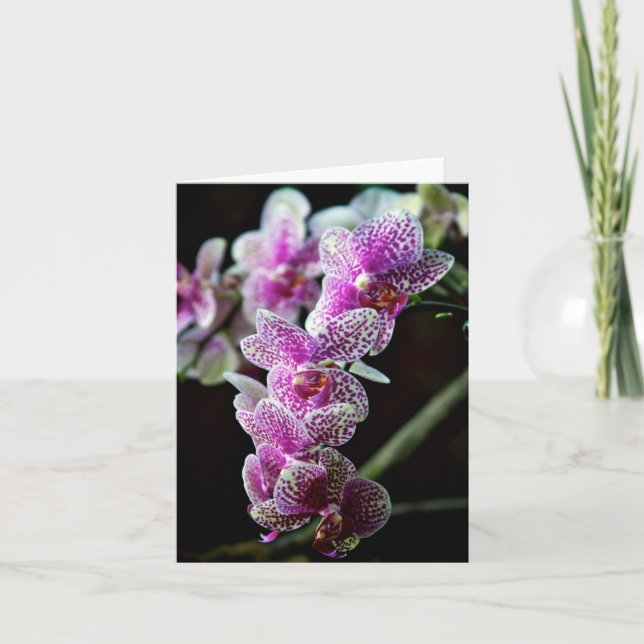 Tarjeta de nota fotográfica de flores de orquídeas (Anverso)