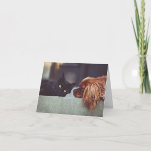Tarjeta de nota fotográfica personalizado