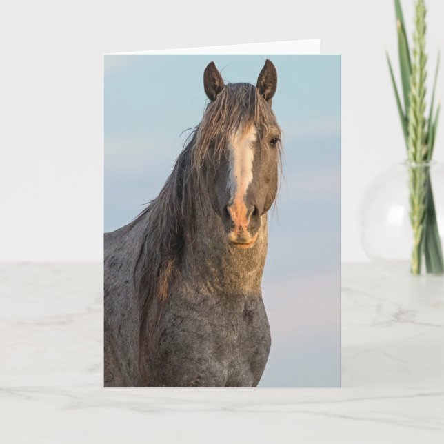 Tarjeta de nota "Fuerza de la Naturaleza" (Anverso)