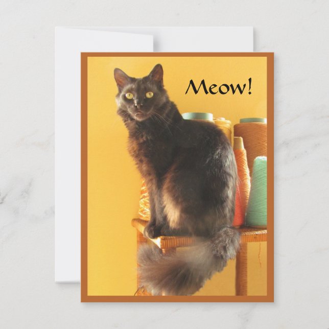 Tarjeta de nota - Gato fresco (Anverso)