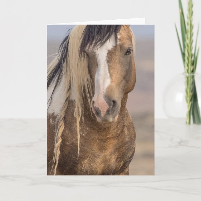 Tarjeta de nota "Golden Boy" (Anverso)