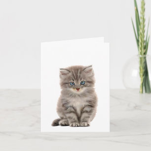 Tarjeta de nota Gray Kitten