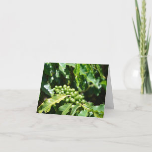 Tarjeta de nota Green Coffee Berries