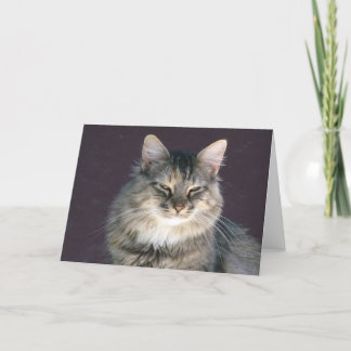 Tarjeta de nota gris para gatos de tabla