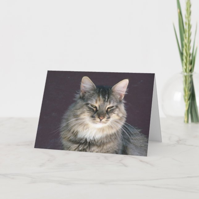 Tarjeta de nota gris para gatos de tabla (Anverso)