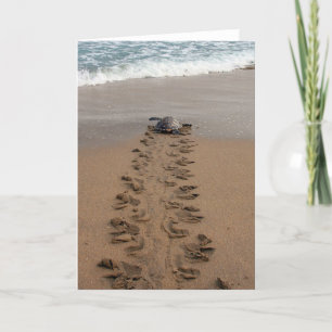 Tarjeta de nota Hawksbill Turtle Tretle Tretle