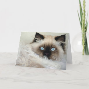 Tarjeta de nota hermosa de los Gato-amantes de