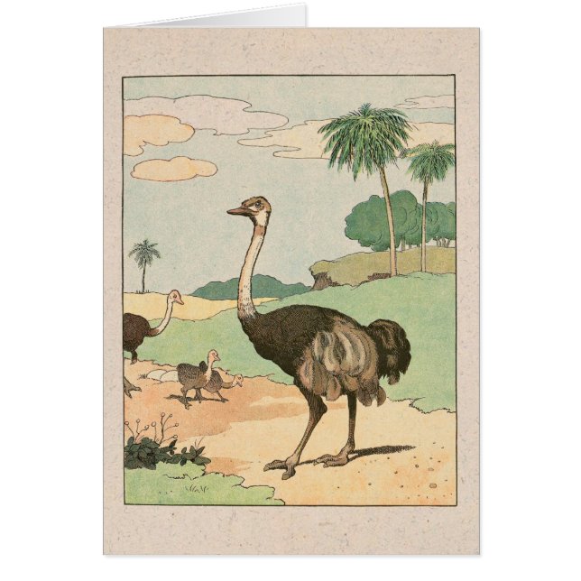 Tarjeta de nota ilustrada Ostrich Storykook (Frente)