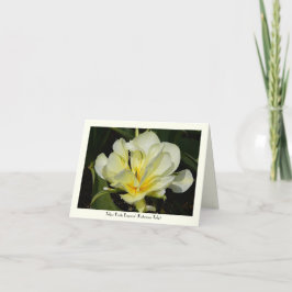 Tarjeta de nota inmóvil del saludo del tulipán